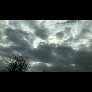 Meet your Posher, Jaci